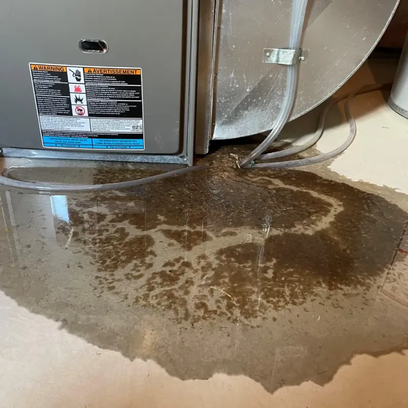 Appliance Leak Cleanup in Virginia City, NV